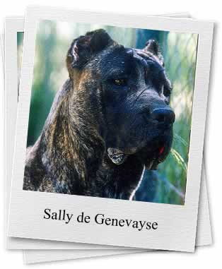 Sally de Genevayse