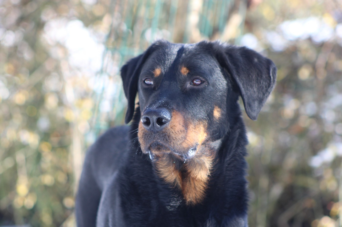 Vicomte (Sans Affixe)