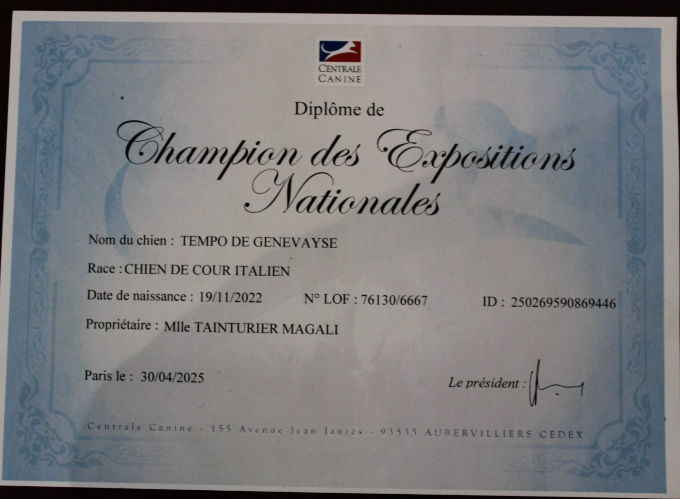 TEMPO de GENEVAYSE - CHAMPION DES EXPOSITIONS NATIONALES